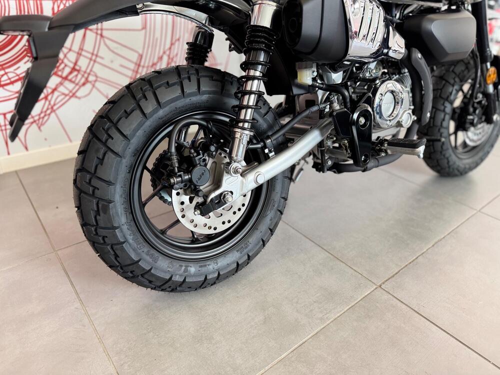 Honda Monkey 125 (2025 - 26) (11)