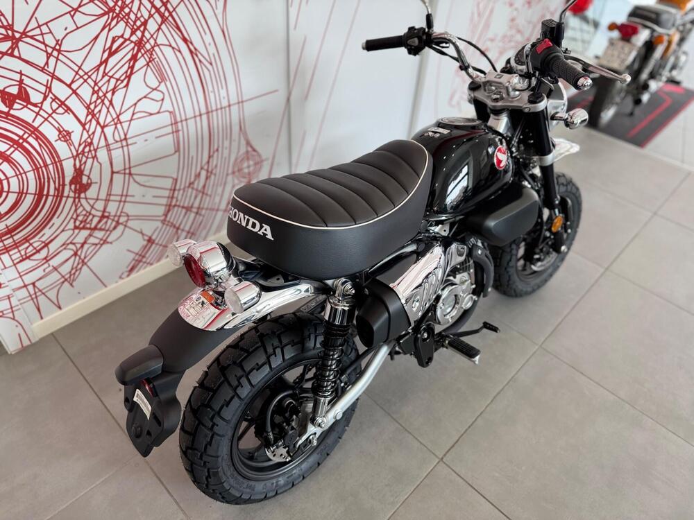 Honda Monkey 125 (2025 - 26) (12)