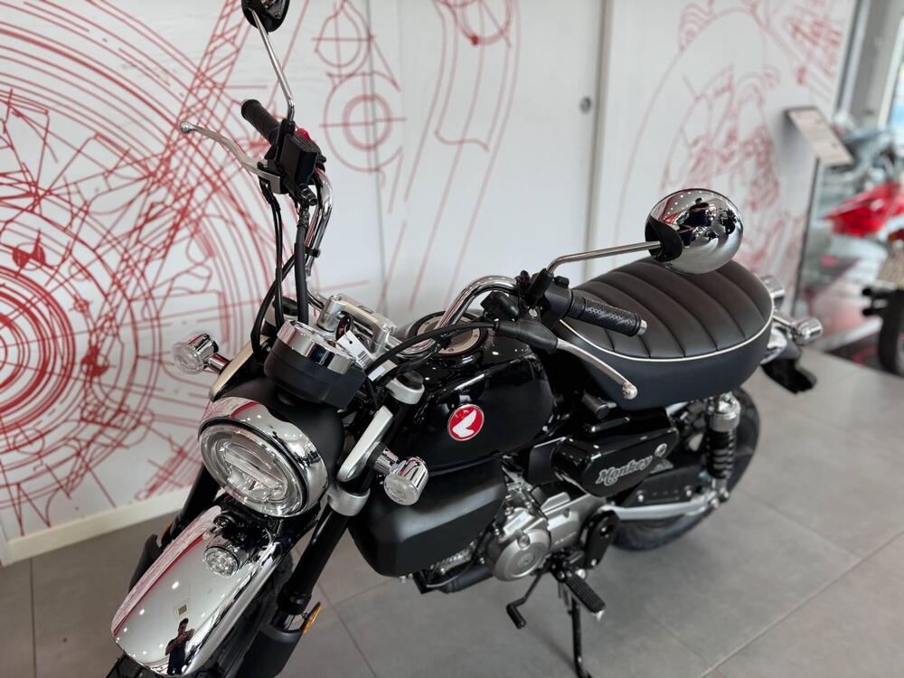 Honda Monkey 125 (2025 - 26) (14)