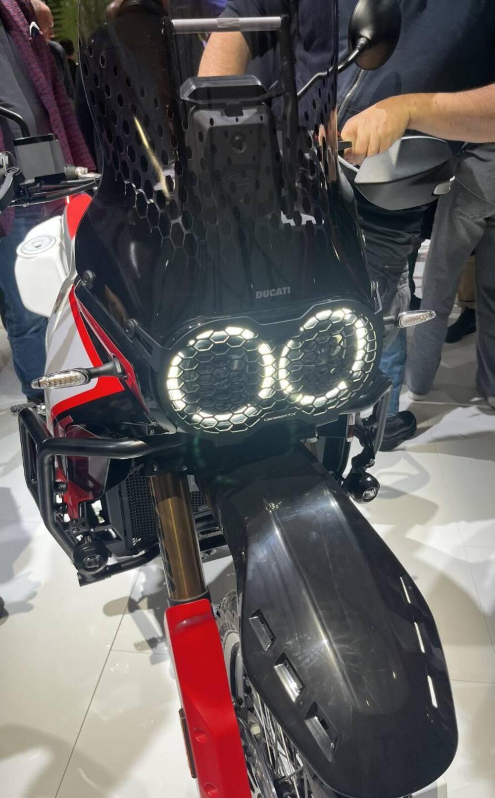 Ducati DesertX Rally (2024 - 25) (7)