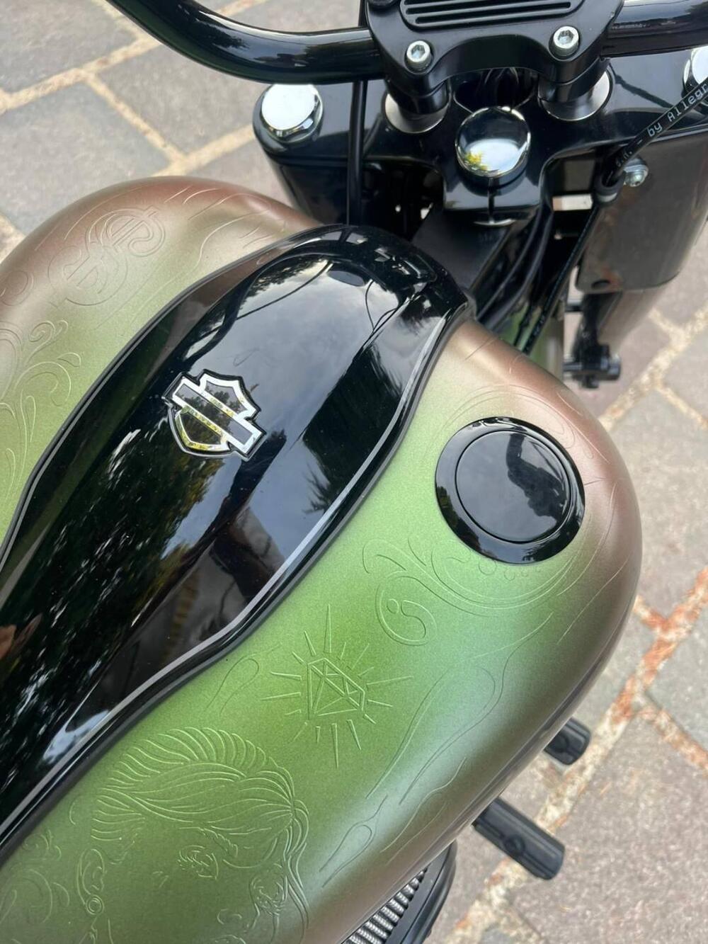 Harley-Davidson 1584 Blackline (2011 - 13) - FXS (5)