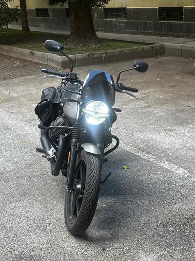 Moto Guzzi V7 Stone (2021 - 24) usata