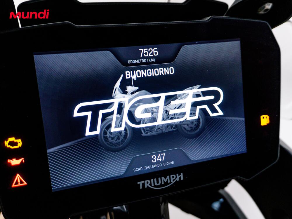 Triumph Tiger 900 Rally Pro (2020 - 23) (12)