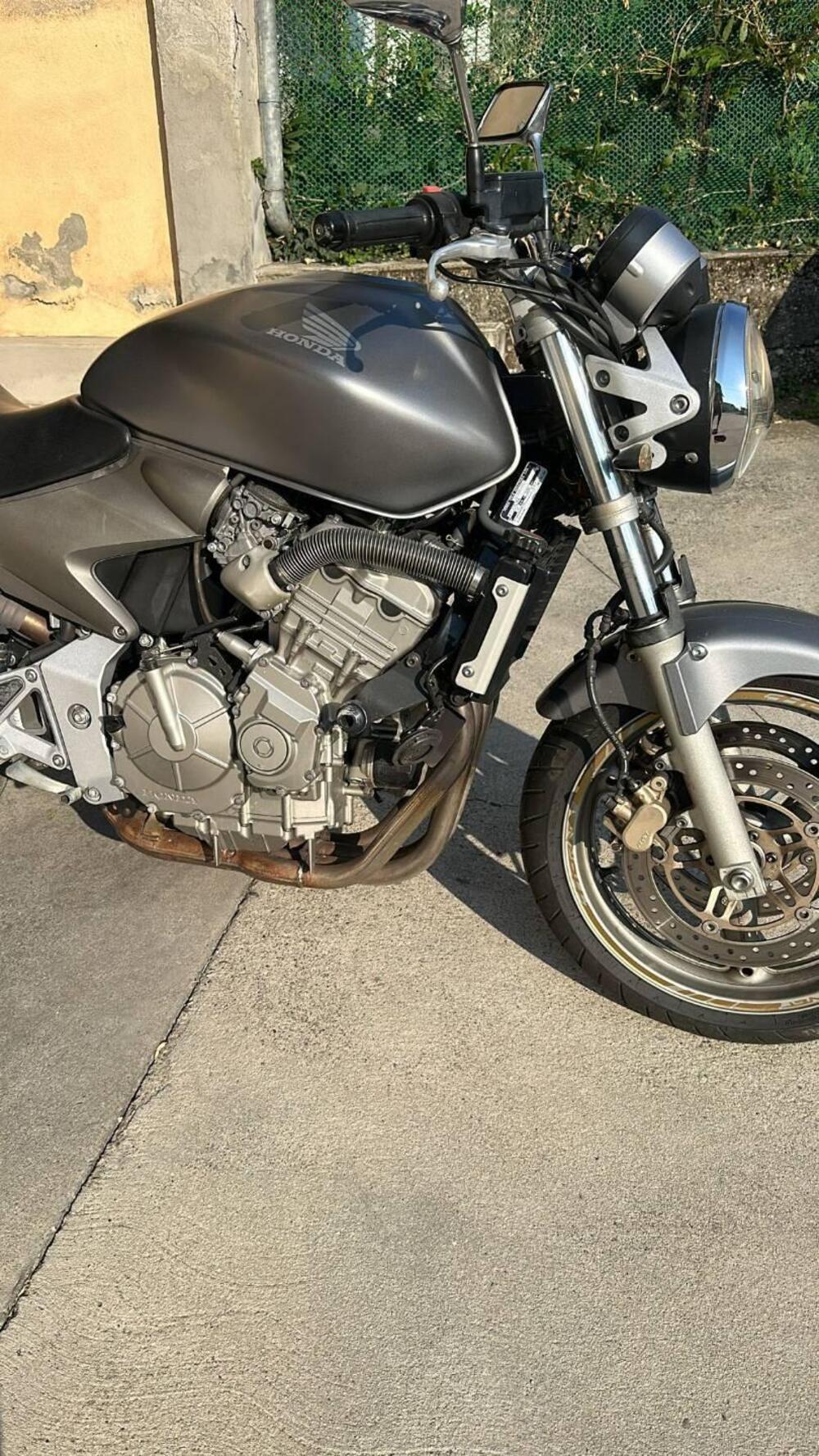 Honda Hornet 600 (2005 - 06) (8)