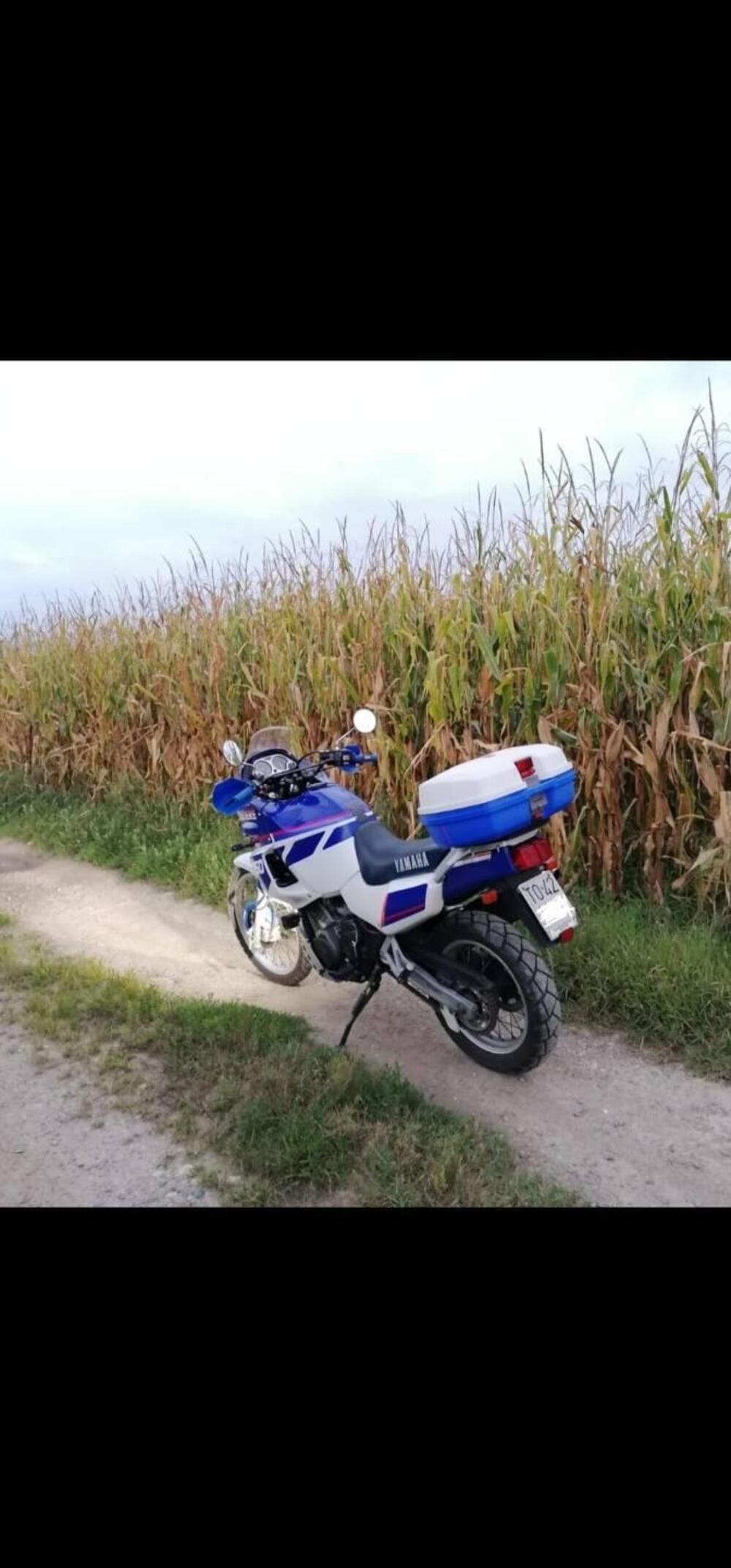 Yamaha XTZ 750 SuperTenere ASI Conservata (6)