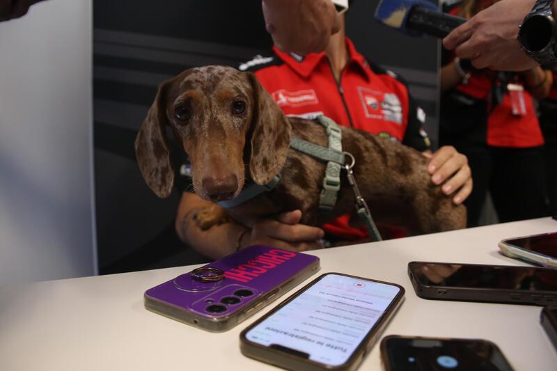 Turbo in braccio a Pecco