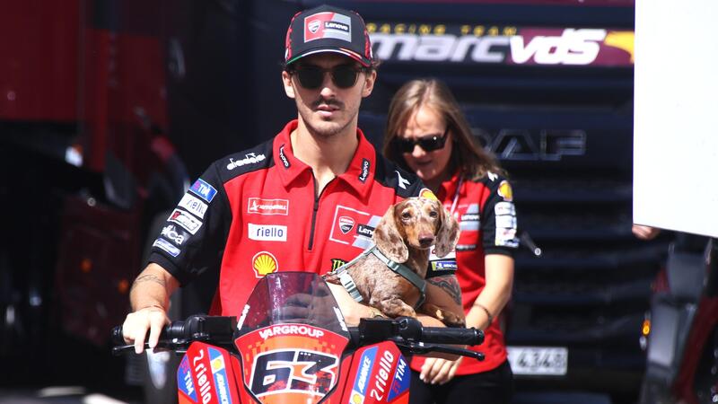 MotoGP 2025. GP di San Marino. Pecco Bagnaia insieme al cane Turbo: &quot;Obiettivo per Misano? Top 5&quot;