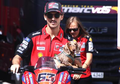 MotoGP 2025. GP di San Marino. Pecco Bagnaia insieme al cane Turbo: Obiettivo per Misano? Top 5
