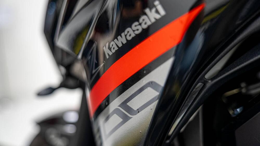 Kawasaki Z 800 e ABS (2012 - 16) (14)