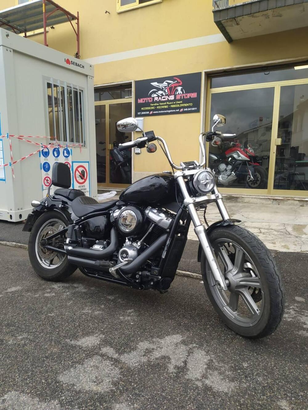 Harley-Davidson Softail Standard (2021 - 25) (2)