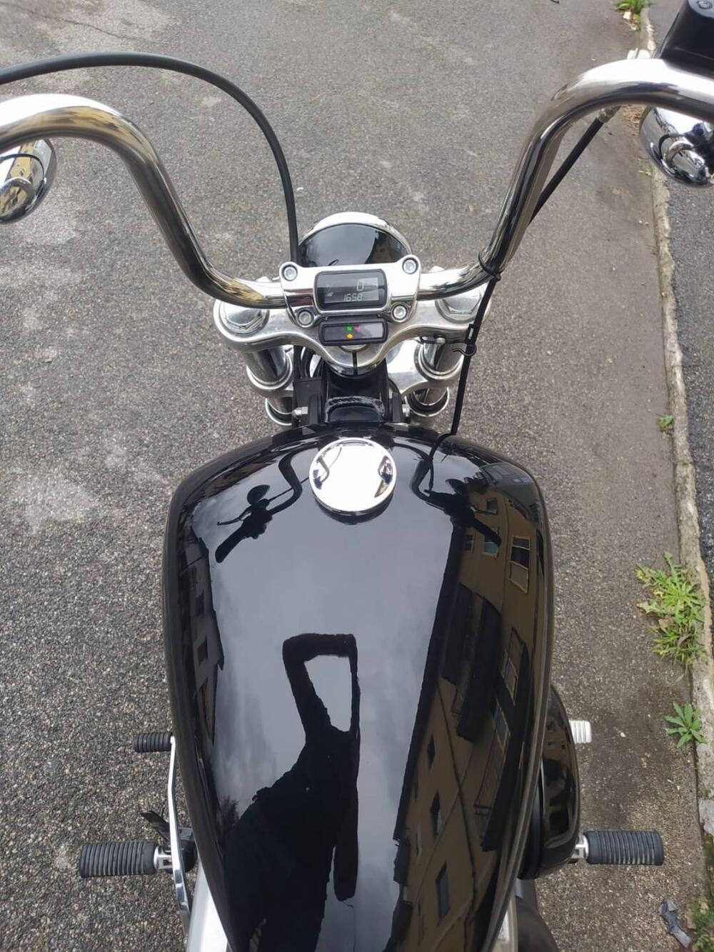 Harley-Davidson Softail Standard (2021 - 25) (8)