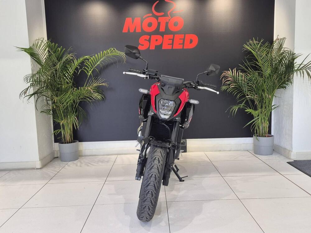 Honda CB 500 Hornet (2024 - 25) (7)