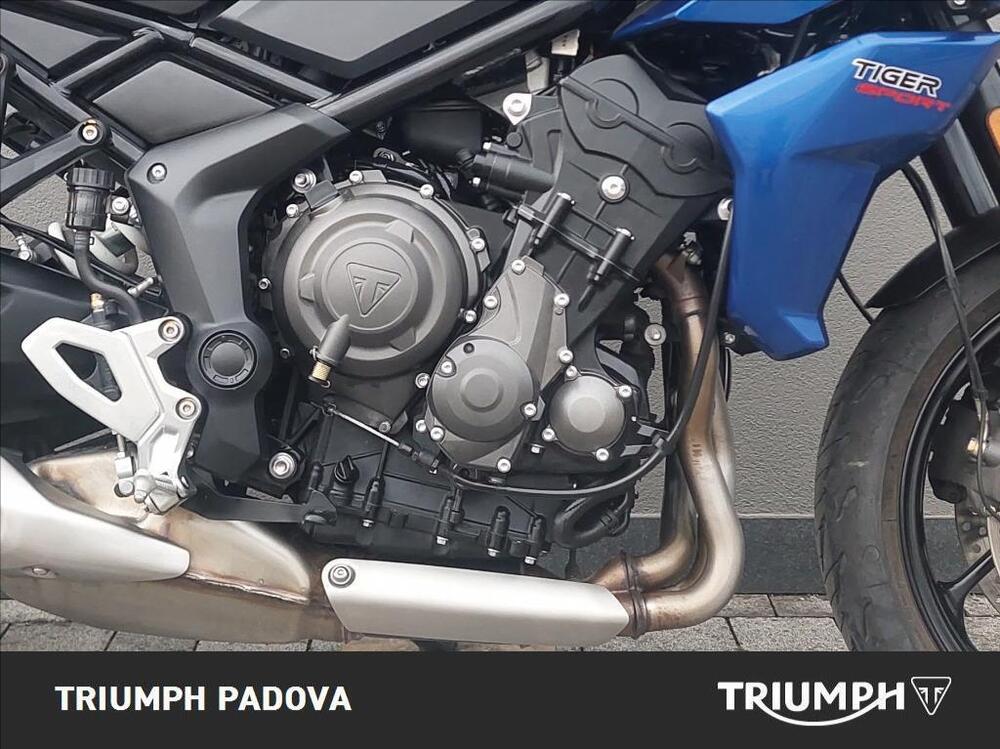 Triumph Tiger Sport 660 (2022 - 24) (3)