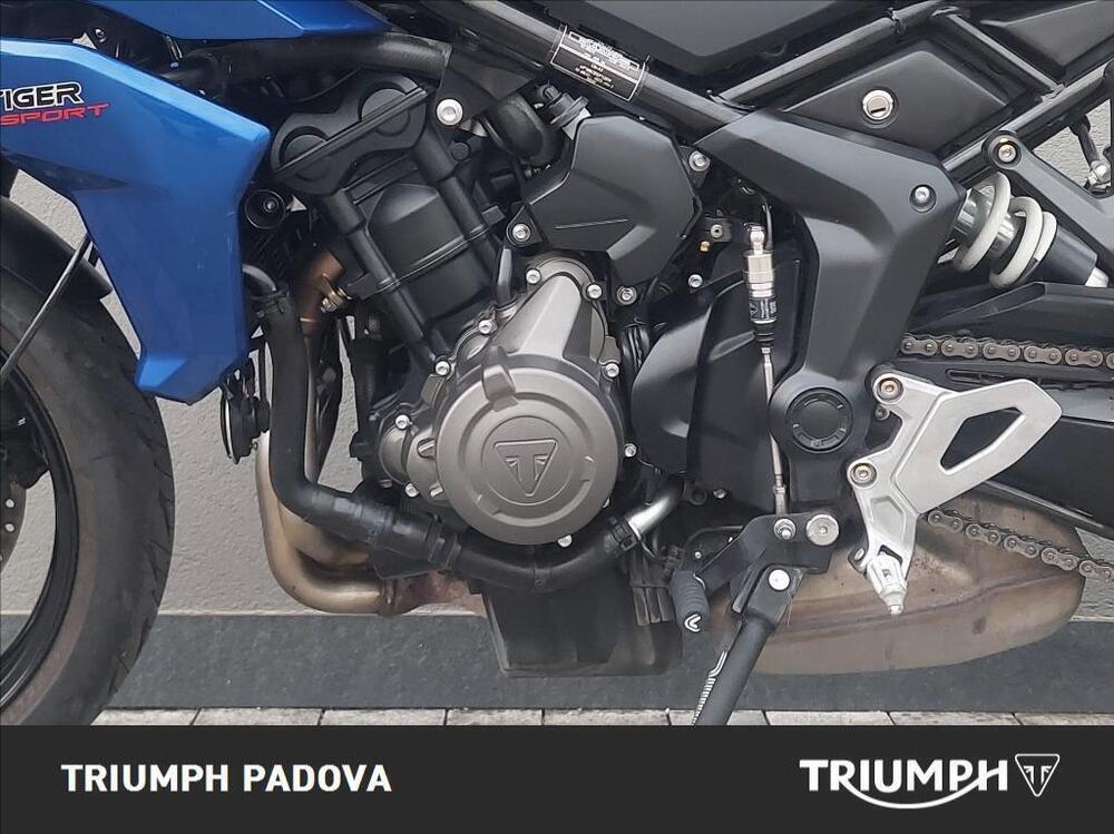Triumph Tiger Sport 660 (2022 - 24) (8)