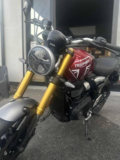 Triumph Speed 400 (2024 - 25) usata