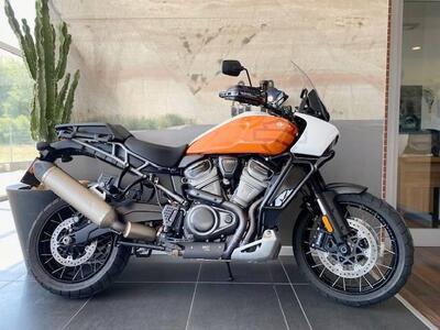 Harley-Davidson Pan America 1250 Special (2020 - 25) usata