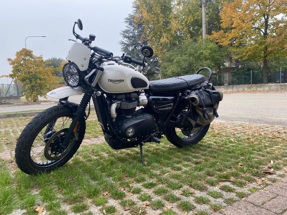 Triumph Street Scrambler 900 (2019 - 20) (9)