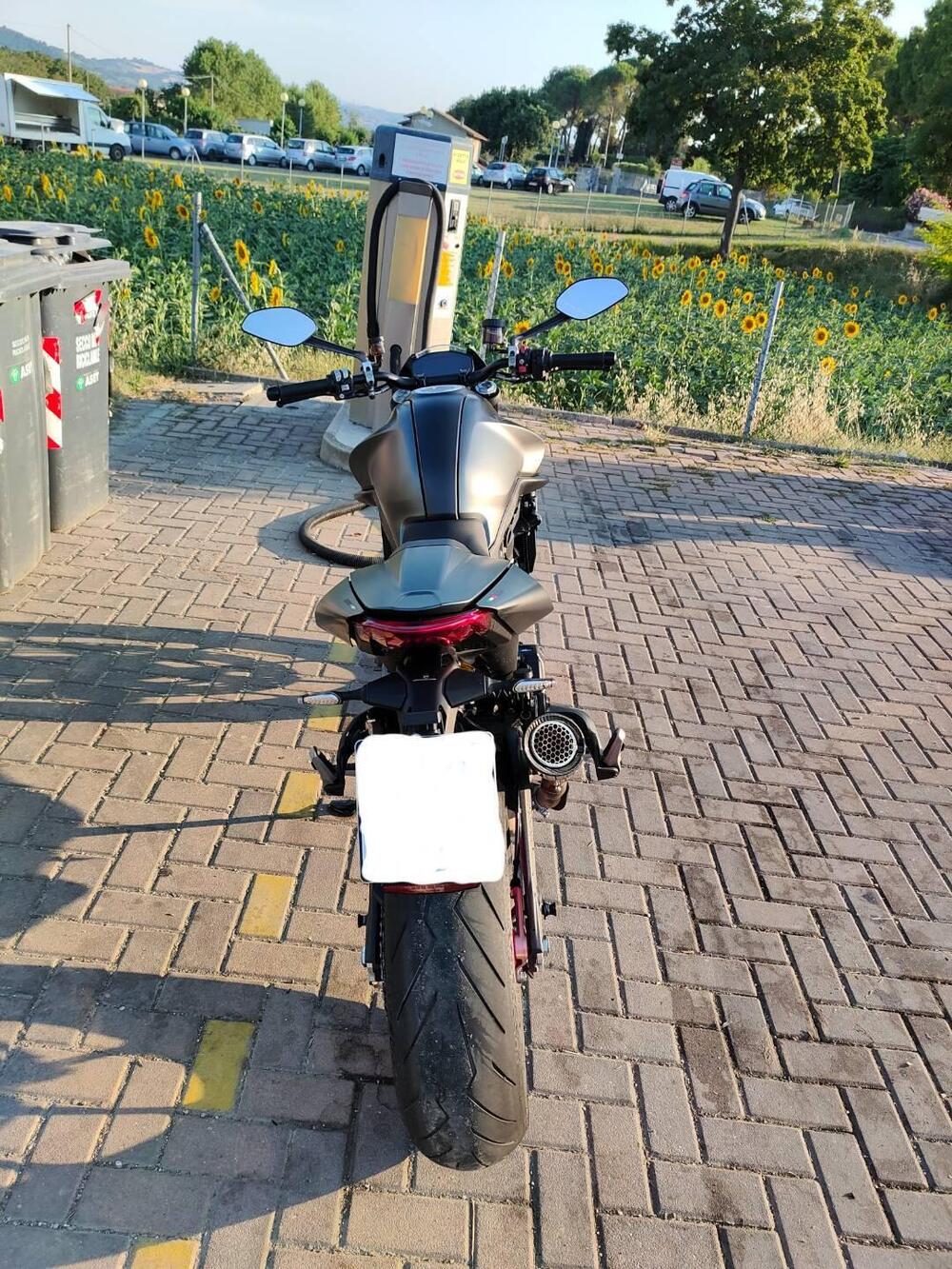 Ducati Monster 937 + (2021 - 25) (2)