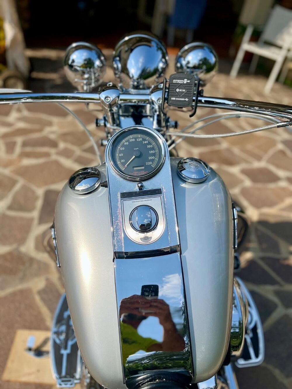 Harley-Davidson 1450 Heritage Springer (2000 - 03) - FLSTS (3)