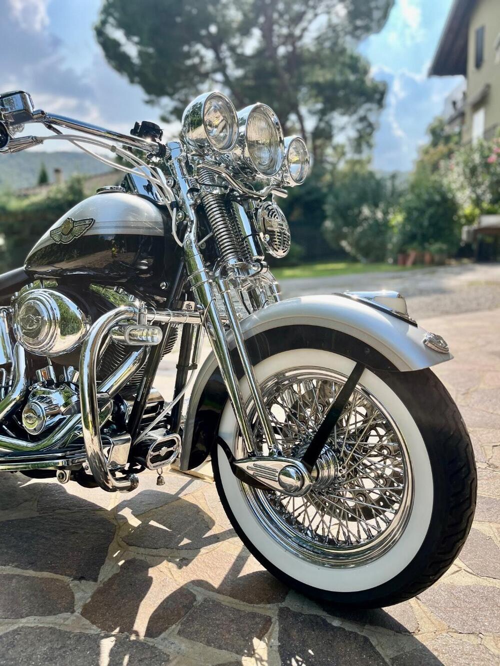 Harley-Davidson 1450 Heritage Springer (2000 - 03) - FLSTS (6)