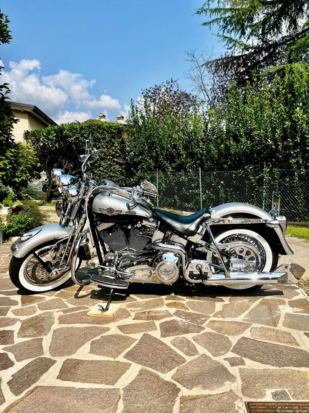 Harley-Davidson 1450 Heritage Springer (2000 - 03) - FLSTS (8)