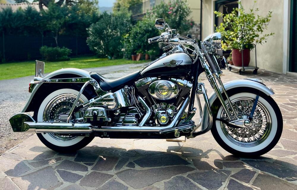 Harley-Davidson 1450 Heritage Springer (2000 - 03) - FLSTS (11)