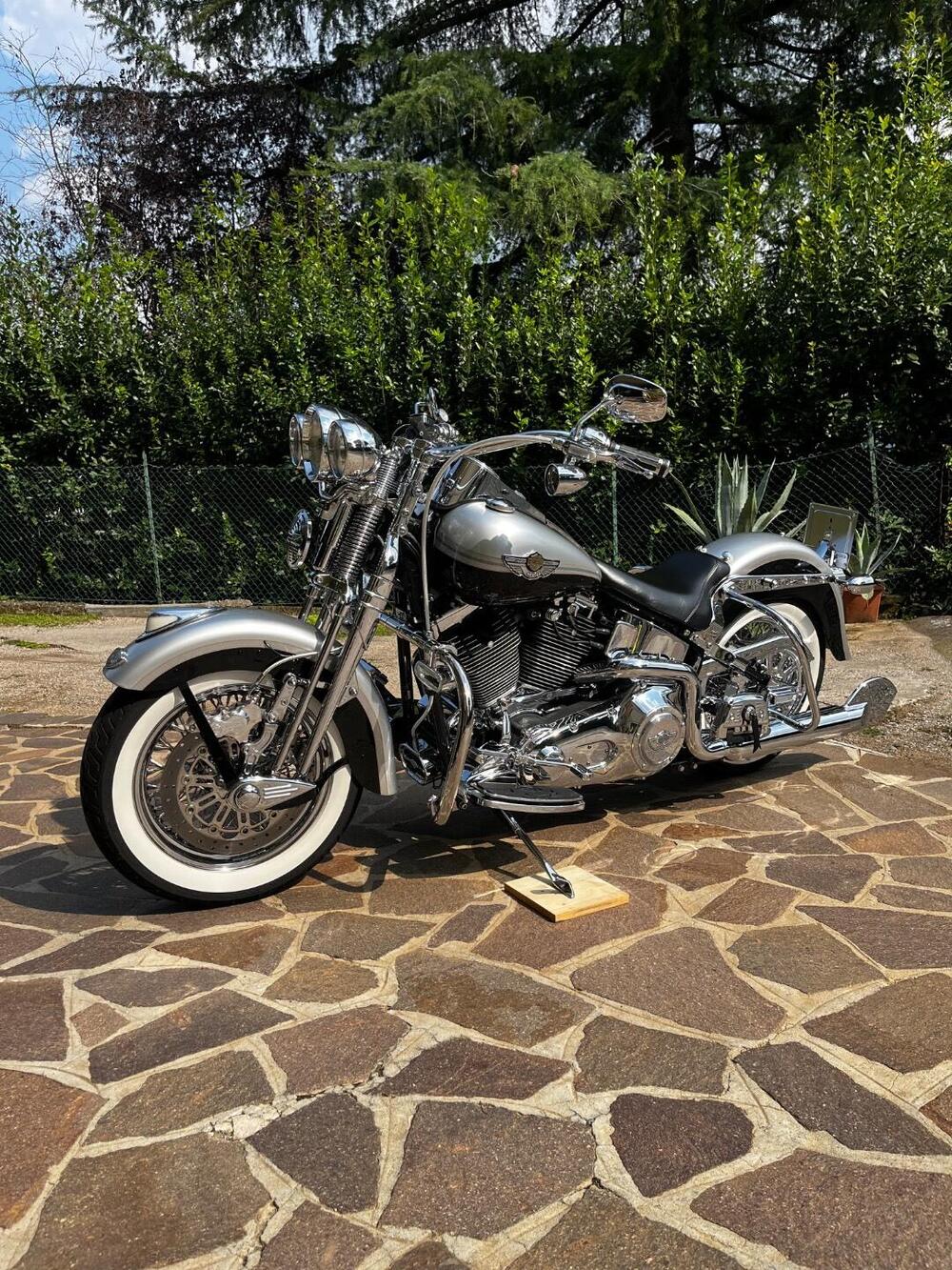 Harley-Davidson 1450 Heritage Springer (2000 - 03) - FLSTS (12)