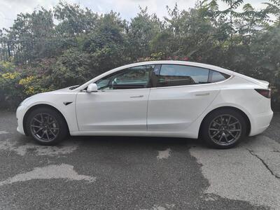 Tesla Model 3 Model 3 Standard RWD Plus del 2020 usata a Genova
