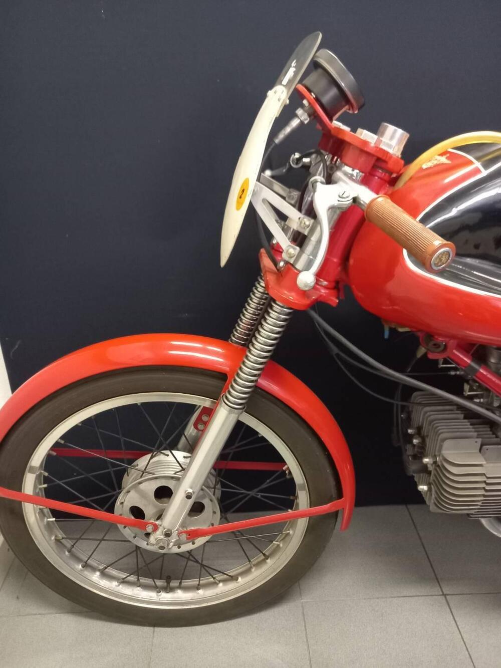 Rumi JUNIOR CORSA (3)