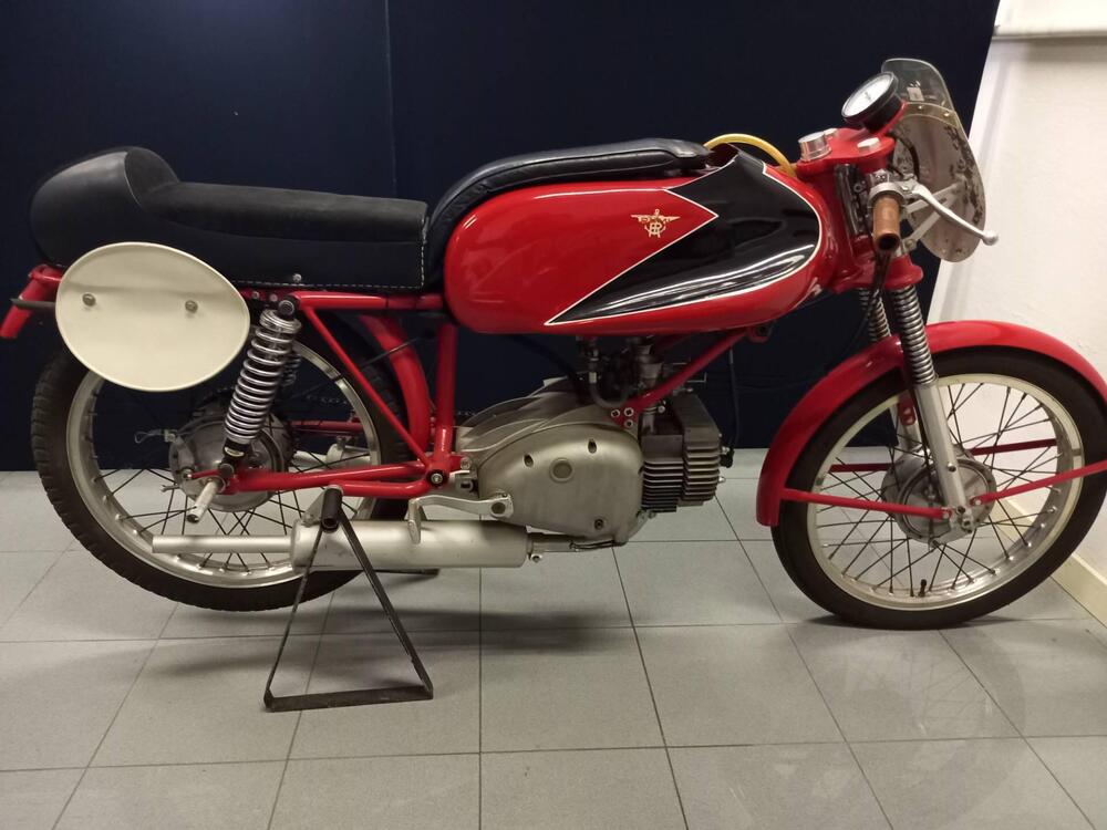 Rumi JUNIOR CORSA (5)