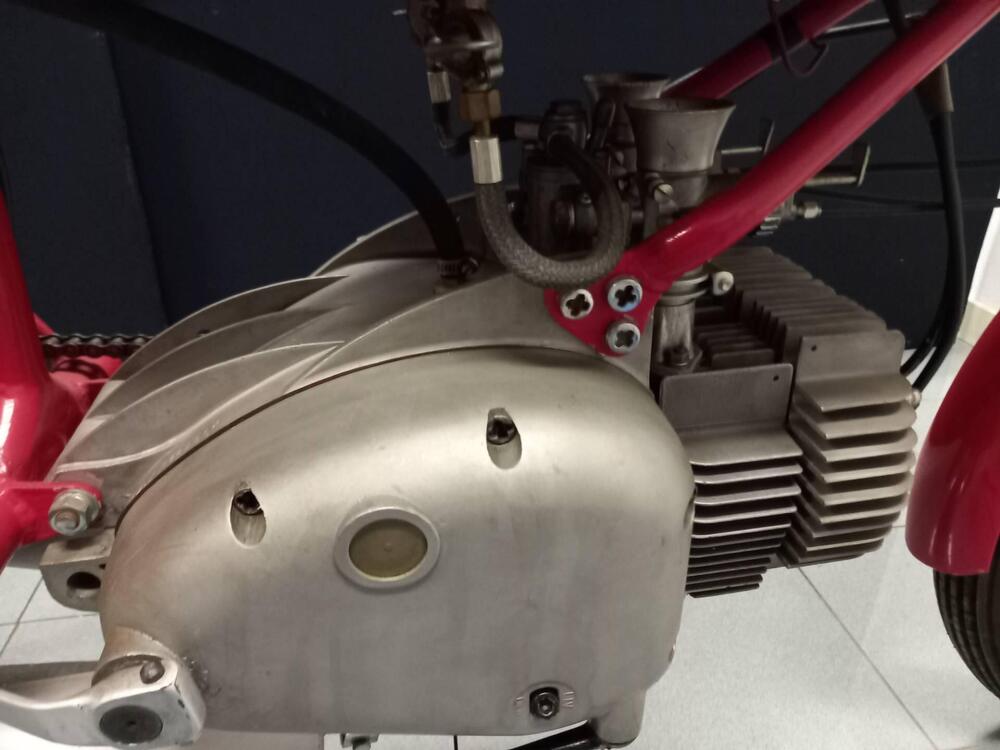 Rumi JUNIOR CORSA (6)