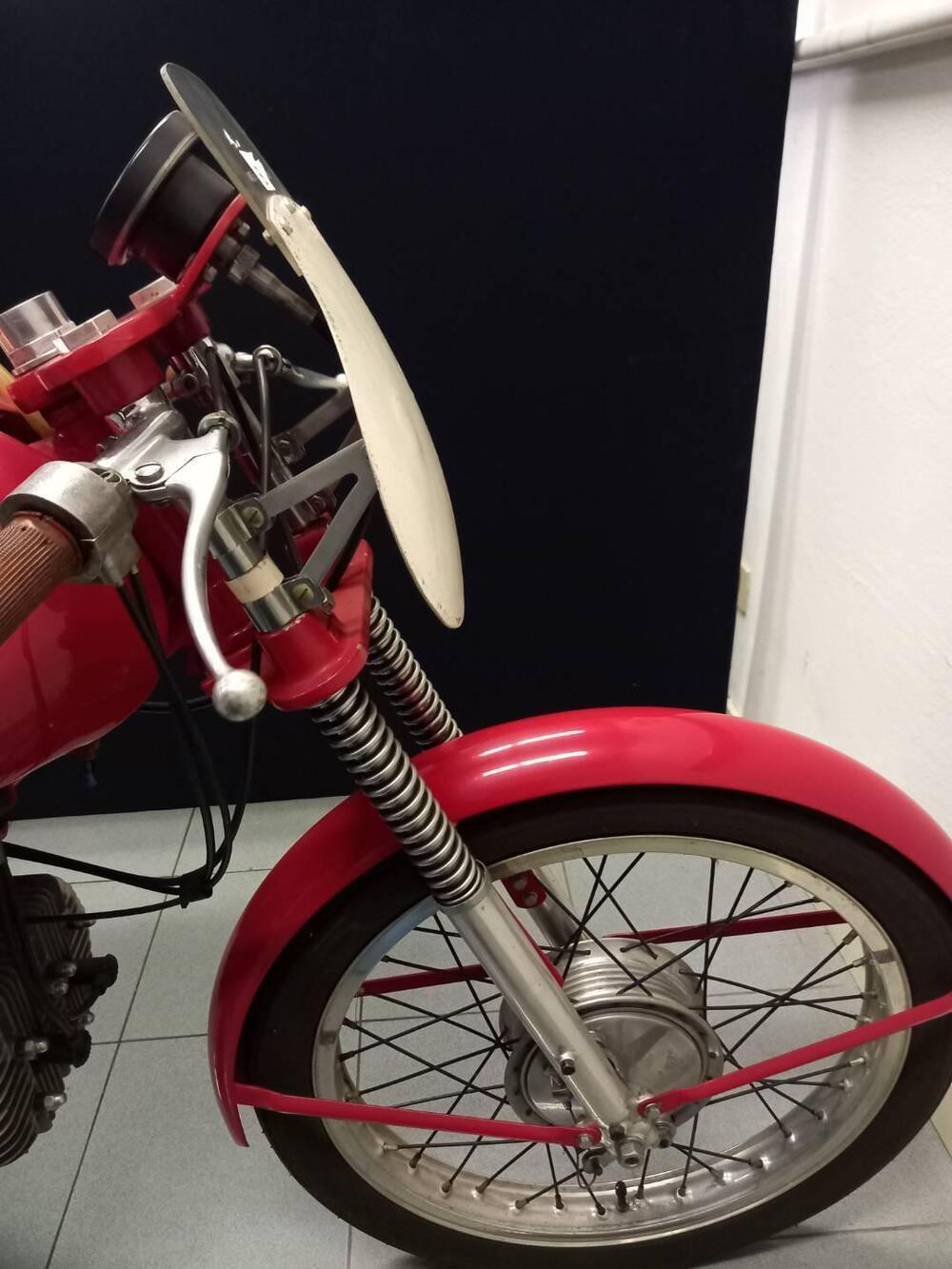 Rumi JUNIOR CORSA (8)