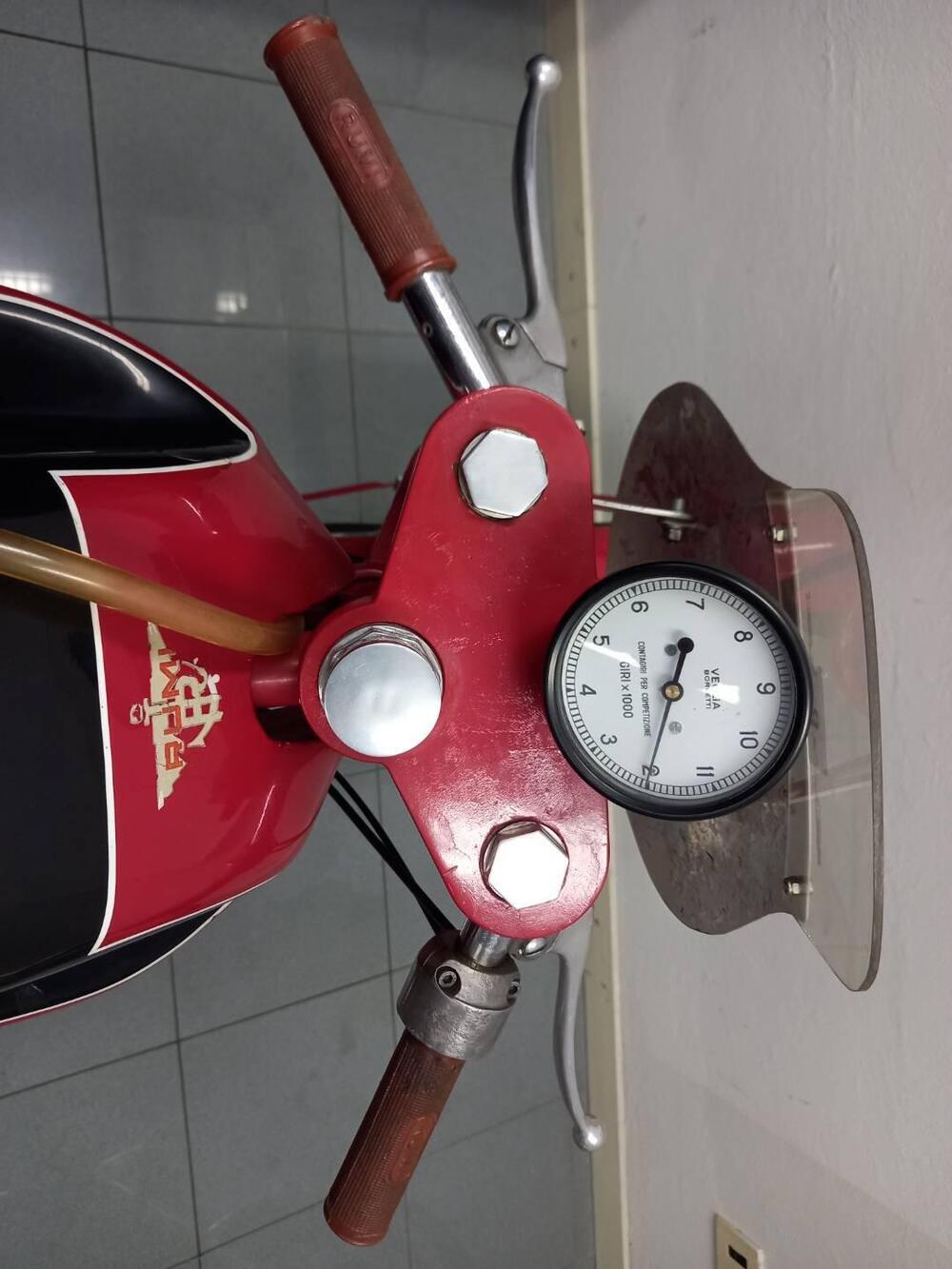 Rumi JUNIOR CORSA (11)