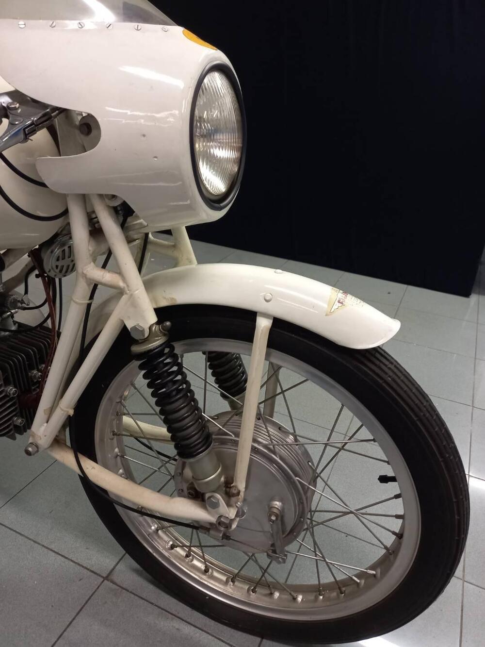 Rumi JUNIOR CORSA EARLES (3)