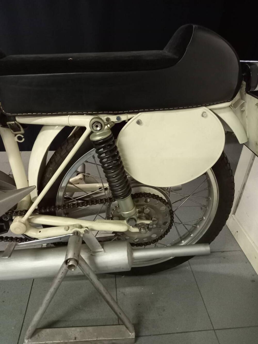 Rumi JUNIOR CORSA EARLES (6)