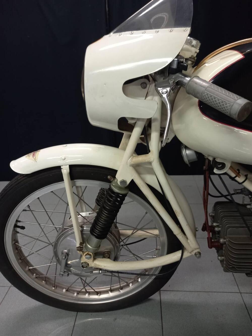 Rumi JUNIOR CORSA EARLES (7)