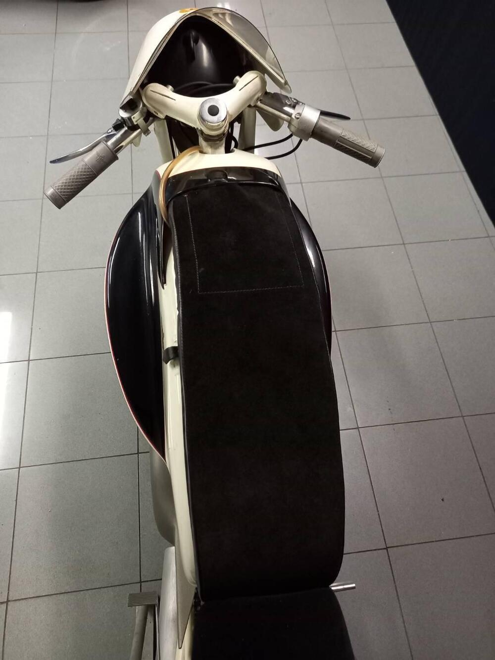 Rumi JUNIOR CORSA EARLES (8)