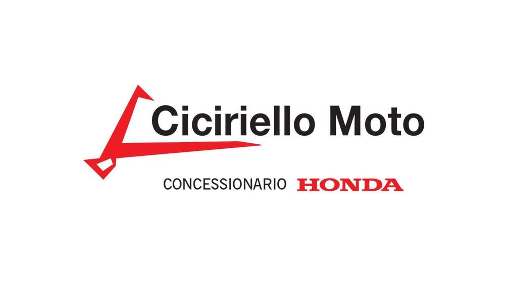 Triumph Trident 660 Triple Tribute Edition (2024) (10)