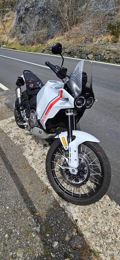 Ducati DesertX (2022 - 25) usata