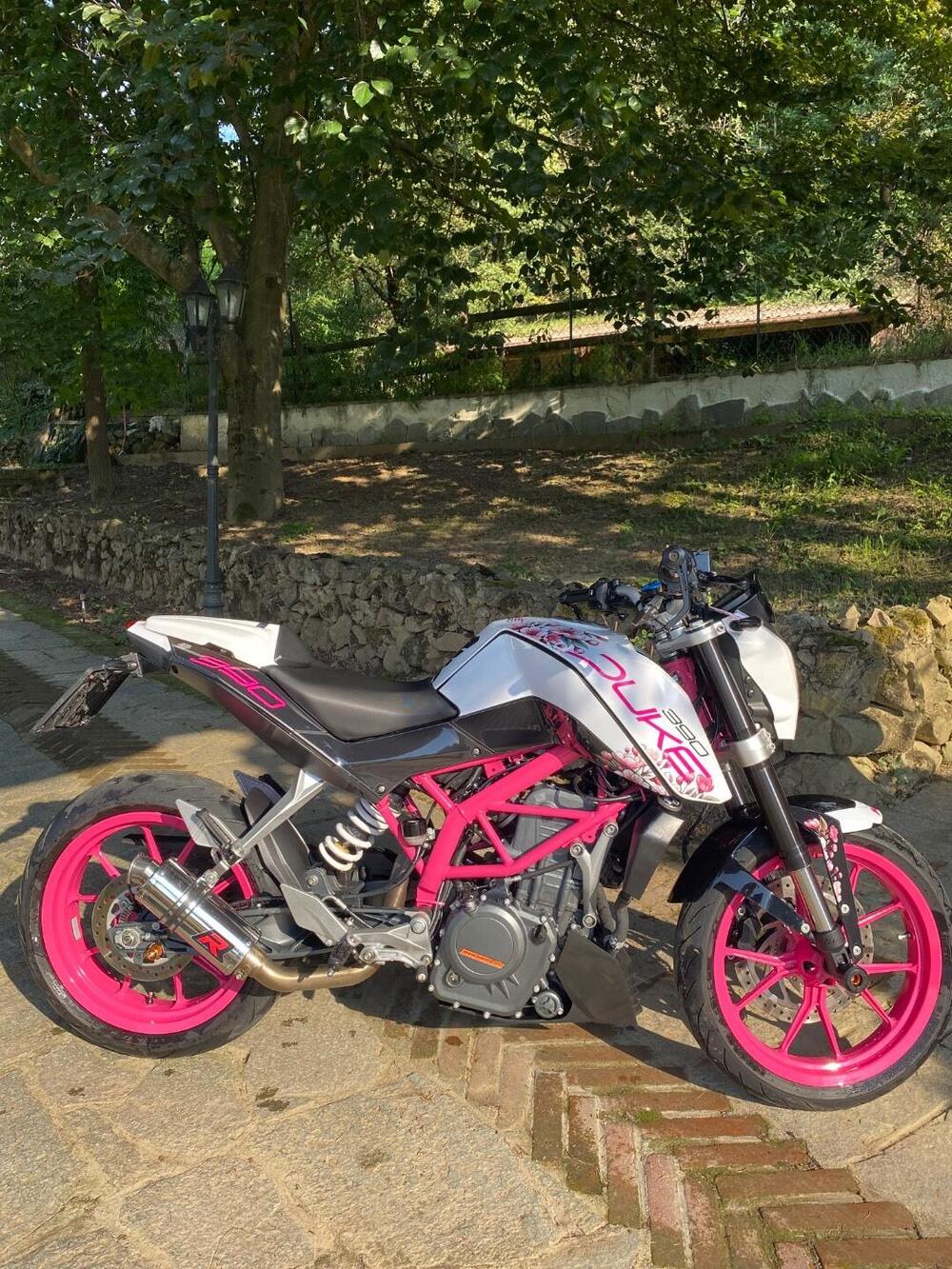 KTM 390 Duke ABS (2012 - 16)