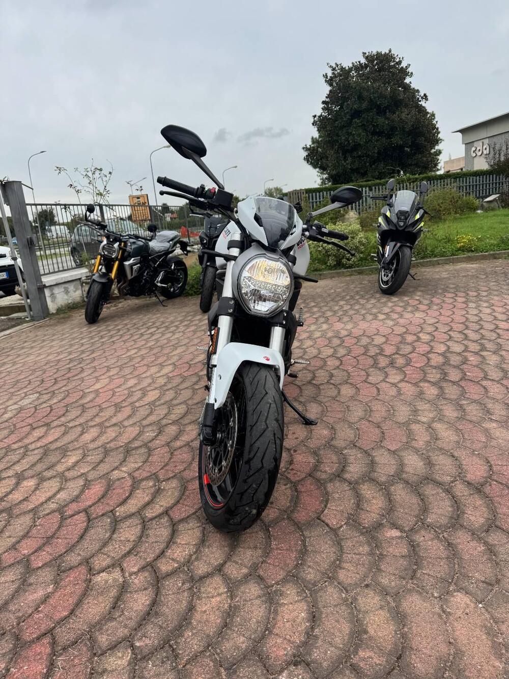 Ducati Monster 797 (2019 - 20) (2)