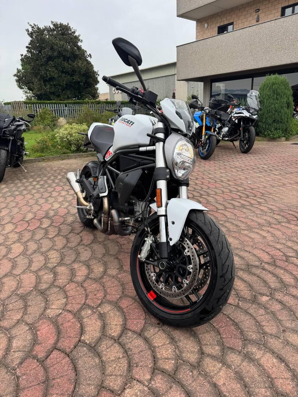 Ducati Monster 797 (2019 - 20) (3)