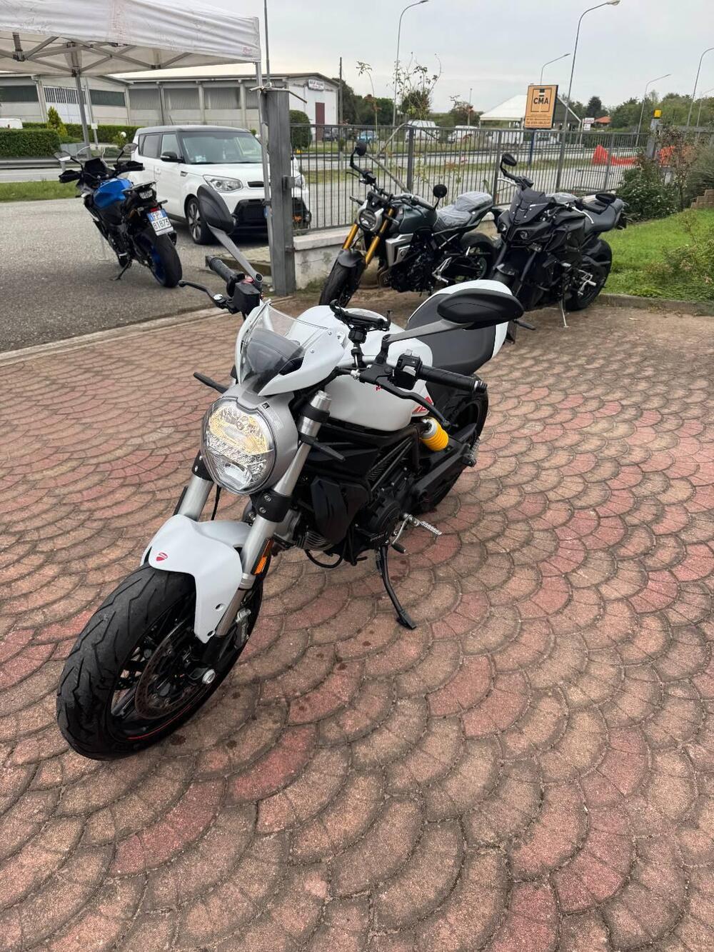 Ducati Monster 797 (2019 - 20) (7)