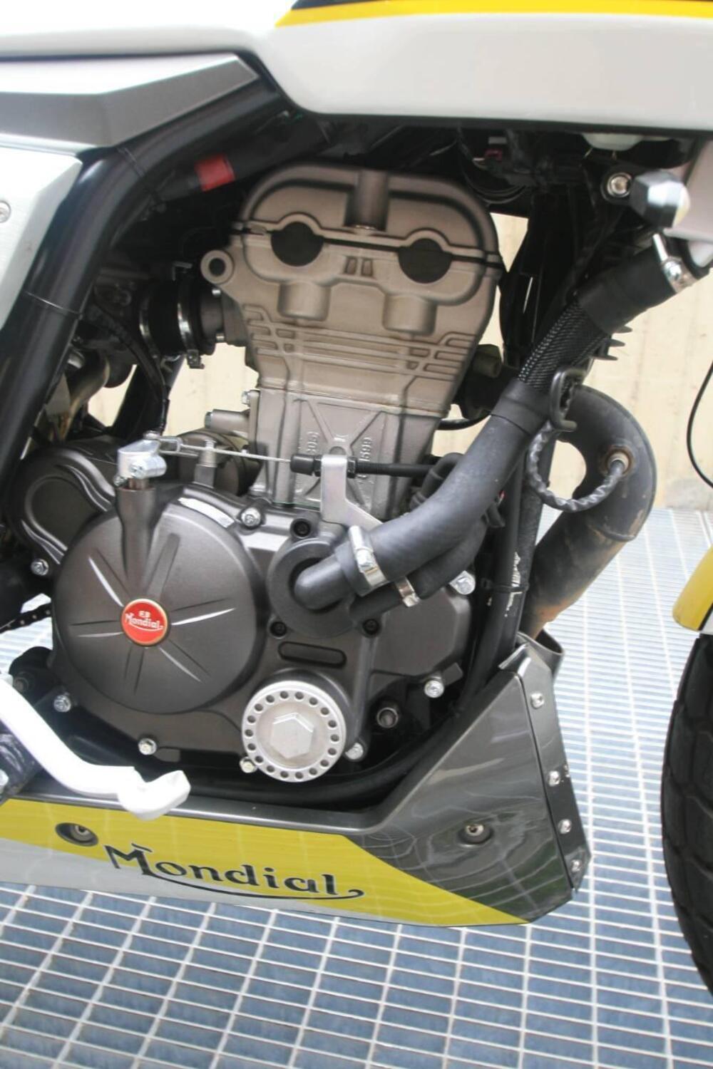 FB Mondial Flat Track 125 (2020 - 24) (6)