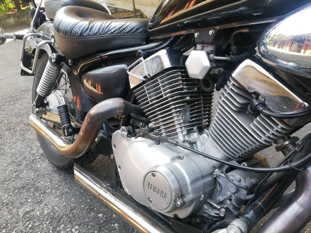 Yamaha XV 250 S Virago (1994 - 01) (5)