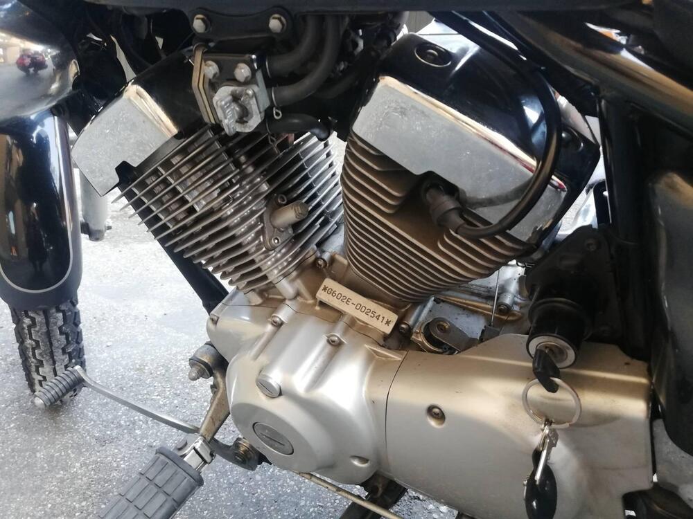Yamaha XV 250 S Virago (1994 - 01) (9)