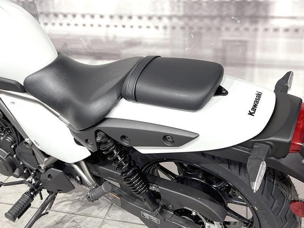 Kawasaki Eliminator 500 (2024 - 26) (4)