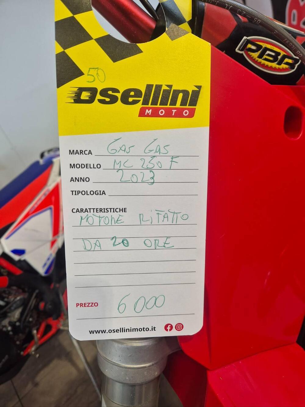GASGAS MC 250 F (2023) (8)