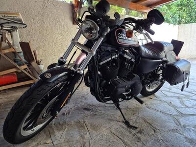 Harley-Davidson 883 Custom (2006 - 07) - XL 883C usata