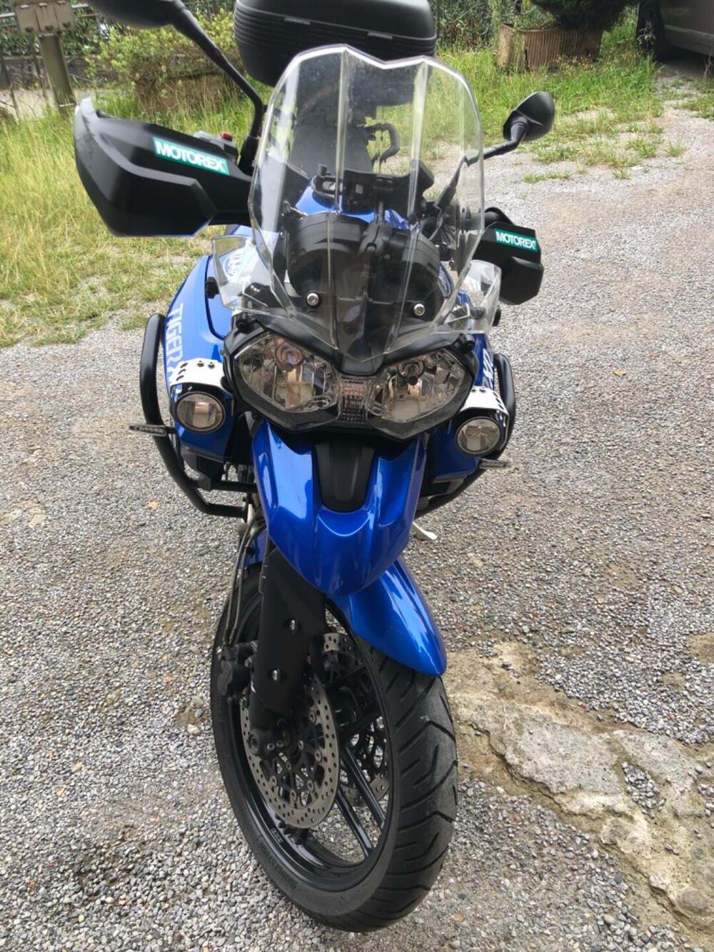 Triumph Tiger 800 XC (2015 - 17) (6)